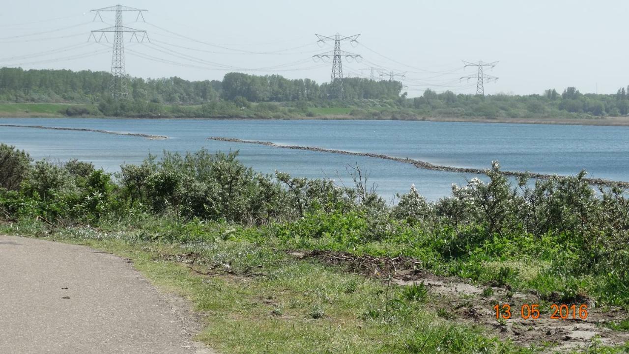 Beach Hotel Oostvoorne Bagian luar foto